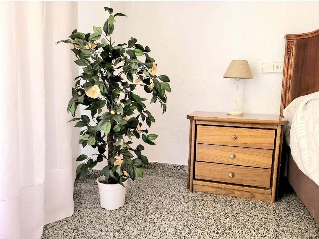 Amistosa, Habitacion Con Balcon, Alicante, Playa, Centro, Rambla, Mercado Apartment Bagian luar foto